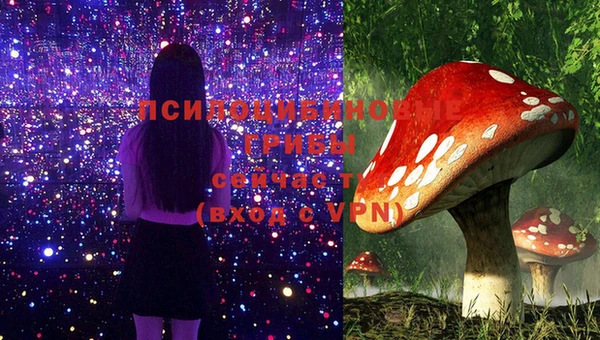 мет Белокуриха