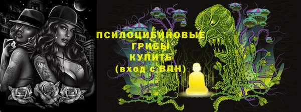 мет Белокуриха