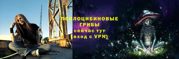 мет Белокуриха